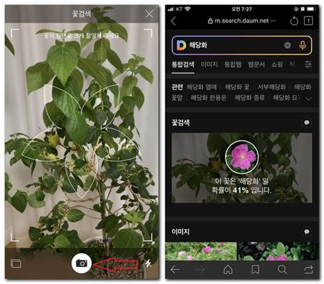 스마트폰으로 궁금한 식물이름 알아볼 수 있는 앱 네이버 블로그 - 식물
